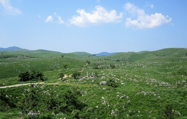 秋吉台【山口まとめ】絶景!カルスト台地に展望台!地元民が見どころ解説!!