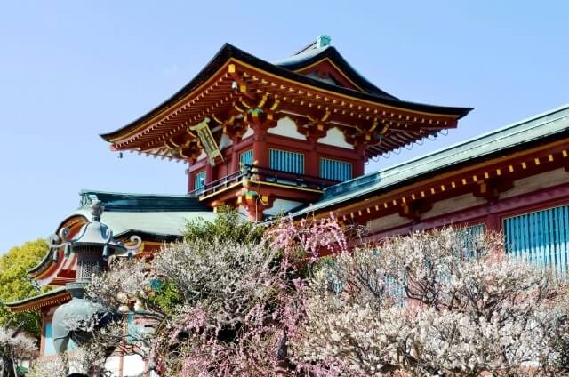 防府天満宮梅まつり【2025】開花状況は?イベント内容や駐車場、限定御朱印情報を紹介!