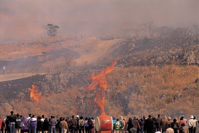 秋吉台山焼き2026【山口】日程･見どころ･駐車場まで地元民が徹底解説!