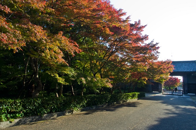 毛利氏庭園の紅葉【防府市名所】見ごろや見どころ・秋の国宝展を解説!!
