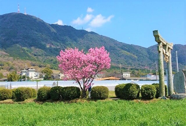 春日神社【山口県防府市】鬼がトレードマーク!!ハートの桜で幸せ気分