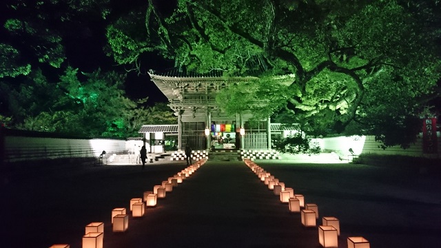 周防国分寺【防府市】ライトアップイベント・見どころ紹介!!