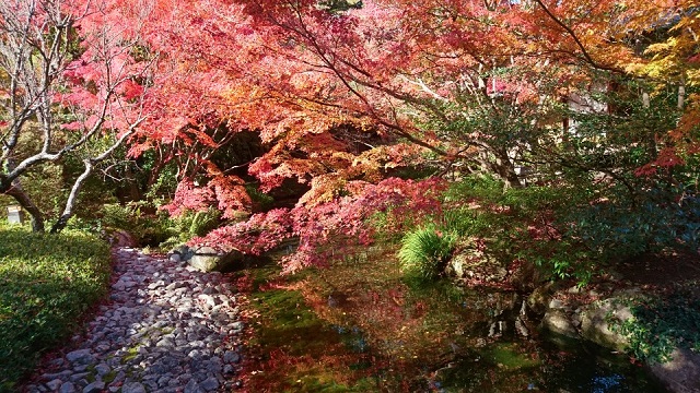 防府天満宮・茶室「芳松庵」の紅葉・幕末の史跡「暁天楼」はおすすめ!!