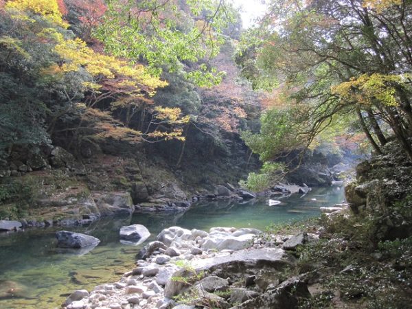 【長門峡の紅葉2024】シャトルバス、見頃や色づき状況、アクセス情報も解説!!