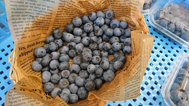 【閉店】秋吉台ファームガーデンでヘルシーランチを満喫・ブルーベリーづくし＆摘み取り体験も!!