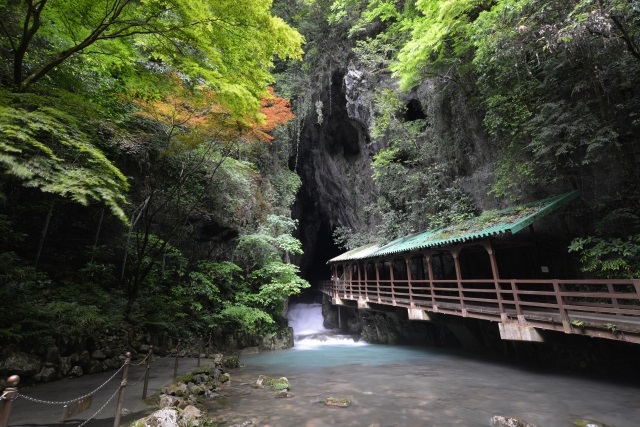 秋吉台鍾乳洞の入場料・割引チケット【まとめ】サファリランドとの共通割引券は?