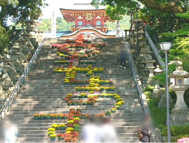 【防府天満宮・大石段の花回廊2024】日程やライトアップ情報をご紹介!