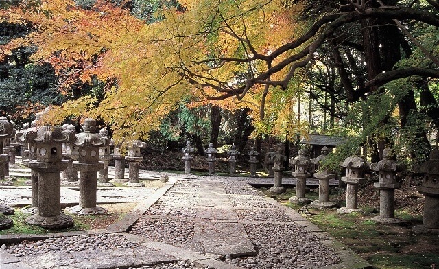 萩・長門市【紅葉名所】見ごろの時期やおすすめスポットをご紹介