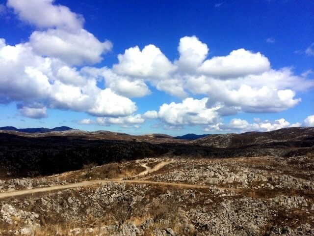 秋吉台【山焼きの歴史】なぜ山焼きを?秋吉台の伝統行事を徹底解説!!