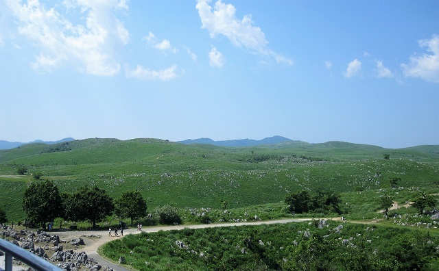 秋吉台【カルスト展望台】おすすめカフェに博物館！駐車場までご紹介!!