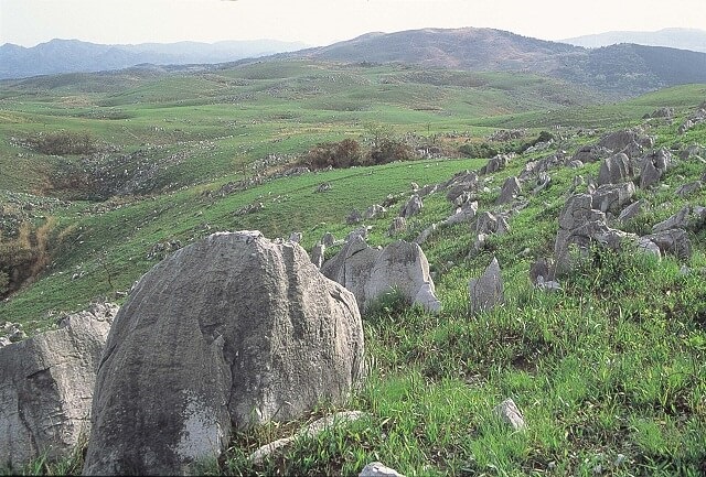 秋吉台カルスト台地の歴史・ドリーネや洞窟のある地形はどうやってできた?
