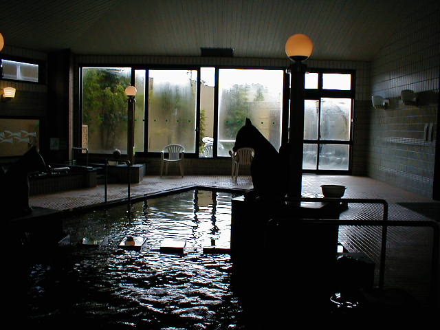 温泉の森【山口市湯田温泉】お風呂や岩盤浴の料金、営業時間や食事、クーポンなどを紹介