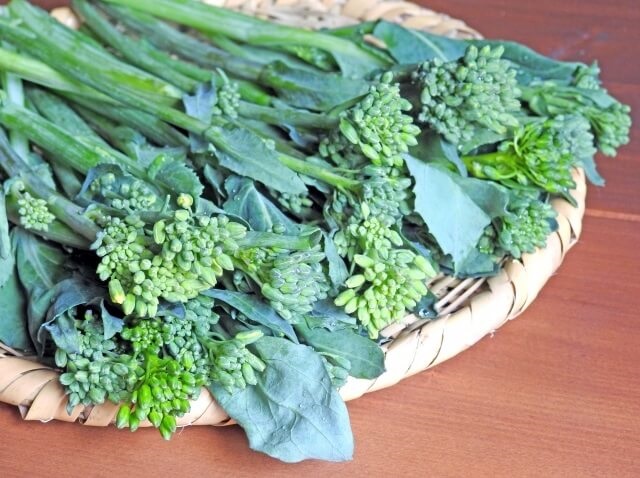 はなっこりー・山口生まれの緑野菜・特徴や栄養、レシピは?歌もご紹介