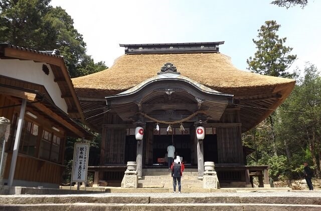 宇佐八幡宮【防府】しゃくなげの名所!!歴史ある境内には見どころいっぱい