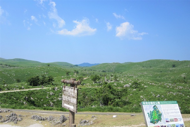 秋吉台・カルスト台地は5月がおすすめ!!新緑の時期の見どころチェック!!