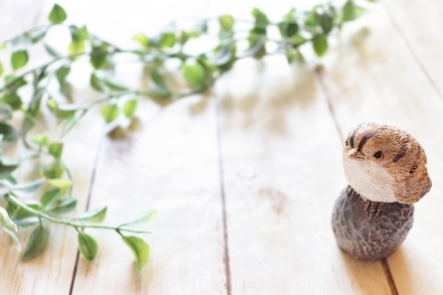 金子みすゞの詩の世界・「みんなちがってみんないい」など心を包んでくれる言葉たち