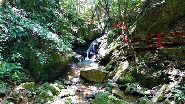 中山渓【下関】夏には涼、秋には紅葉を楽しめる隠れた癒しスポットをご紹介!!