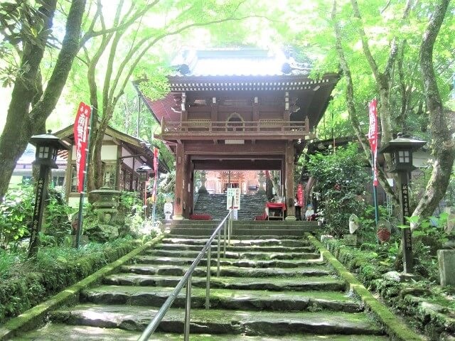 龍蔵寺【山口の寺】ペット供養で有名なパワースポット!!ボタンや紅葉も素敵