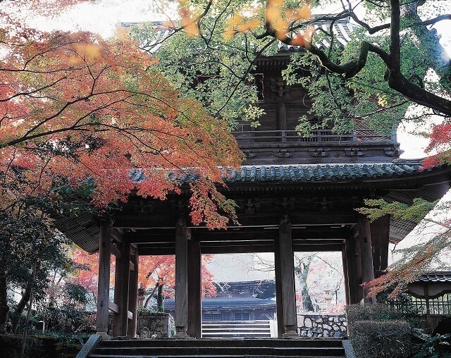 功山寺の紅葉【下関市】見ごろ時期やライトアップ、周辺、駐車場情報を紹介!!