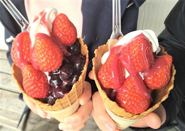 あさむらいちご園【山口】絶品ソフトクリームのメニューや料金をご紹介!!