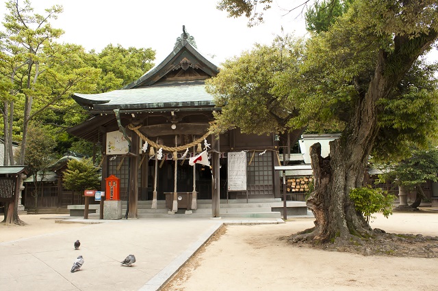忌宮神社【下関市長府】ご利益や鬼石、御朱印などを解説!歴史ある長門国二ノ宮