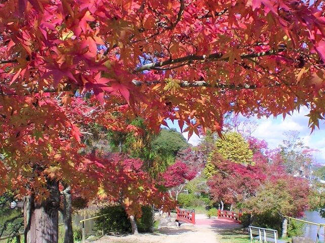 【下関市の紅葉スポット6選】功山寺や東行庵など見頃や紅葉情報をご紹介!