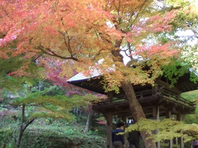 両足寺の紅葉【山口市】穴場スポット・美しい紅葉を楽しめる隠れた名所をご紹介!
