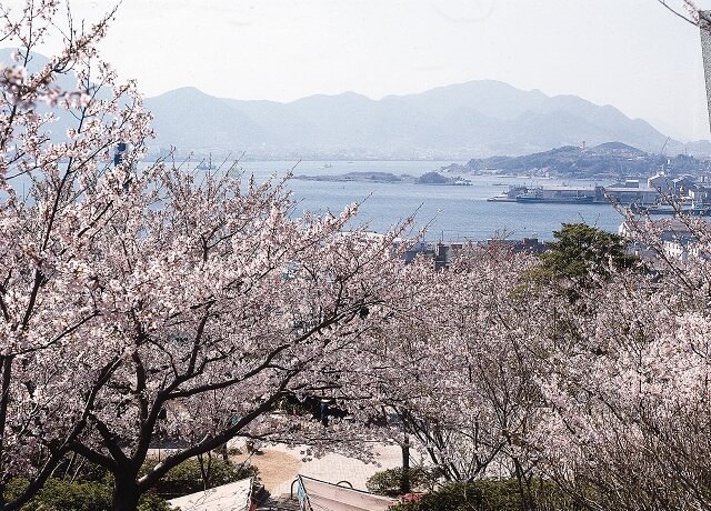 下関市の桜・おすすめの名所7選!!2024年の開花予想、見ごろはいつ?可憐な桜で春を満喫!