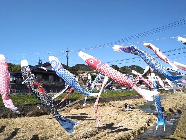 仁保の鯉のぼり【山口市】ゆらゆら空を泳いで・川べりでも遊べるスポット!