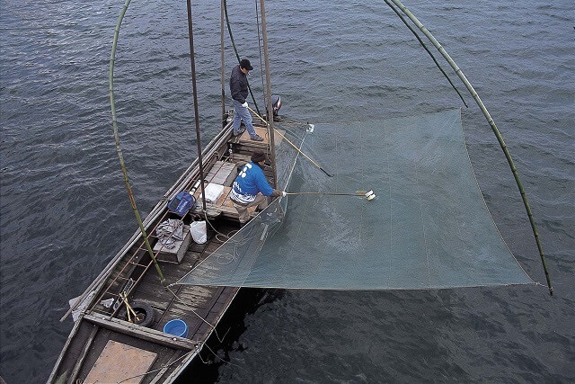 シロウオ漁【萩の早春の風物詩】春の味覚を味わえるスポットもご紹介