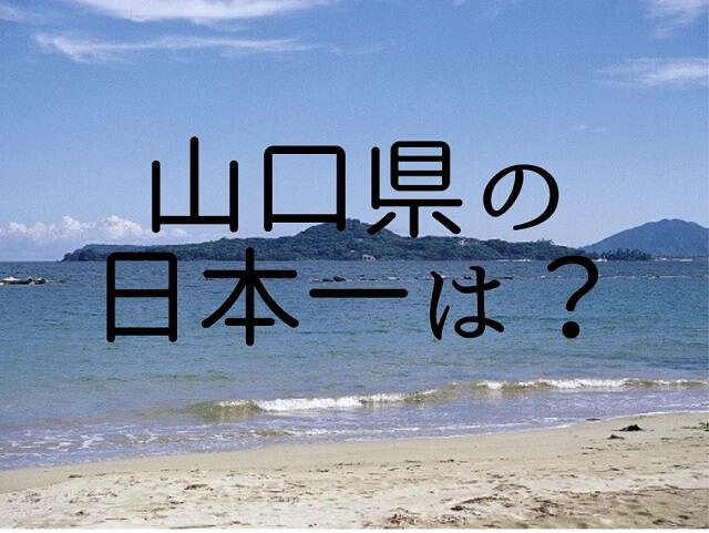山口県の日本一はこんなにあった!!最も古いピアノなどいろんな日本一をご紹介