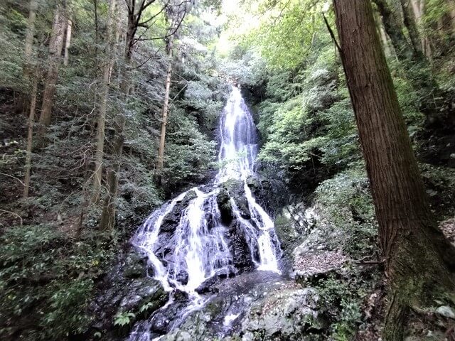 錦鶏の滝【山口市】駐車場・行き方まで解説!山口三名滝のひとつを満喫してきました