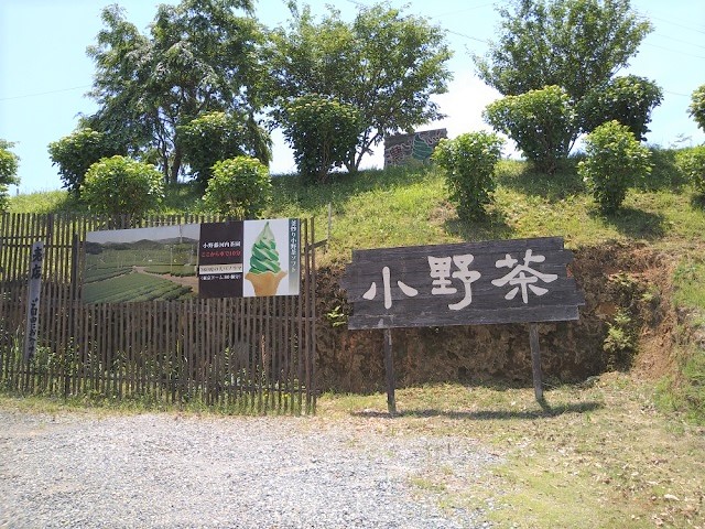 山口茶業・小野茶直売所のソフトクリームは絶品!! 場所や店舗の様子を探検
