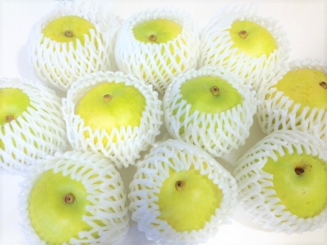 秋芳梨・直売所はいつから?梨狩りは?カルスト台地で育った名産品!