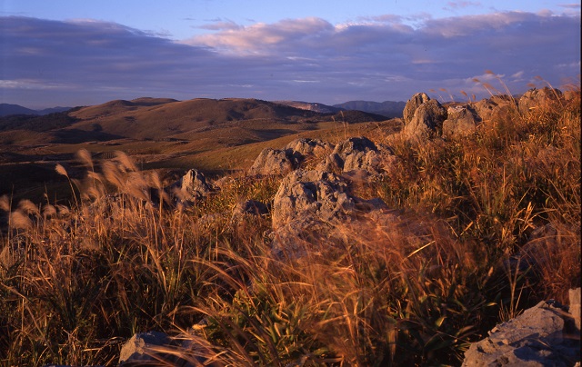 美祢市の紅葉スポット3選・秋吉台の紅葉や水神公園など見どころたっぷり