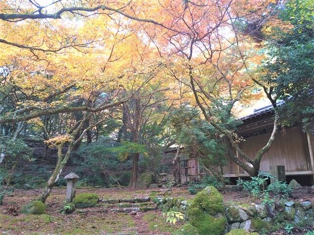 神上寺【下関市】紅葉の名所!!場所や駐車場、見どころは?「西の高野」と称された古刹