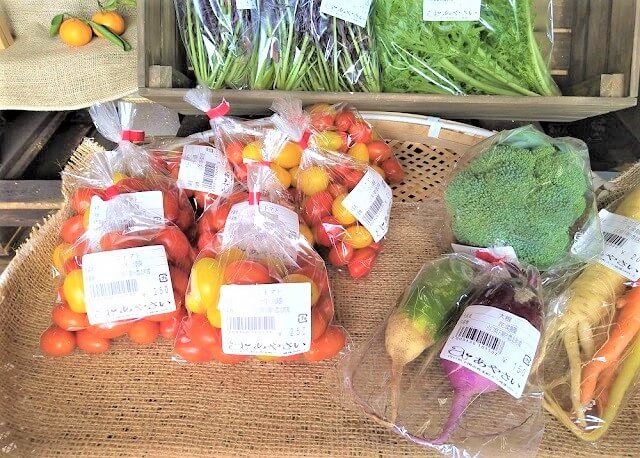あやさい【下関市豊北町】地元の農家さんとともに作るこだわり野菜の産直マルシェ!