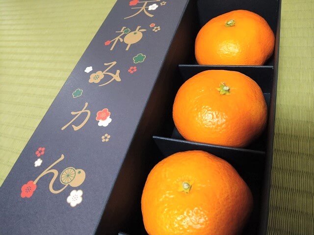 天神みかん【防府市】限定発売のブランドみかん!!年末年始の手土産にぴったり
