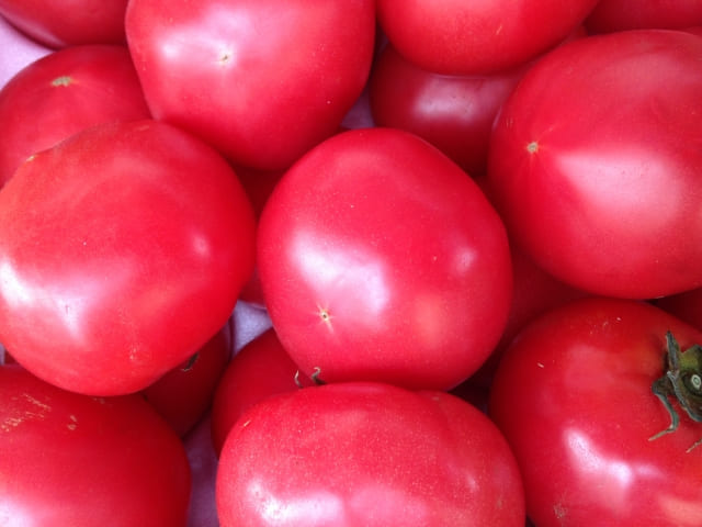 下関【垢田トマト】時期はいつ？販売所は？高糖度の理由と感想もご紹介!