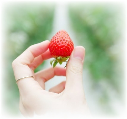 山口いちご狩り【2022】食べ放題のおすすめスポット3選・コロナ対策も調査！