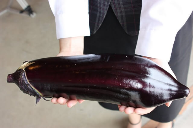 たまげなす【山口県萩市】食べ方やレシピ・値段は?大きさと味に「たまげる」なすび