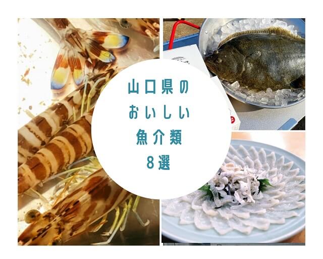 山口県のご当地食材・魚介8選!!旬を知って山口の美味しい魚を楽しもう