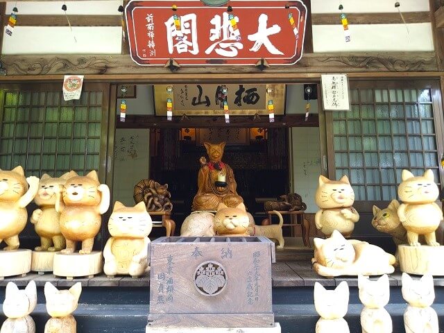 雲林寺（猫寺）は猫好きなら絶対行きたいお寺!御朱印やグッズも猫だらけ