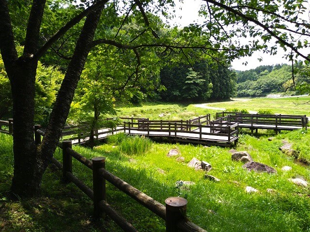 水出の泉【山口市阿東】阿武川の源流・水神様の名水スポットを探検