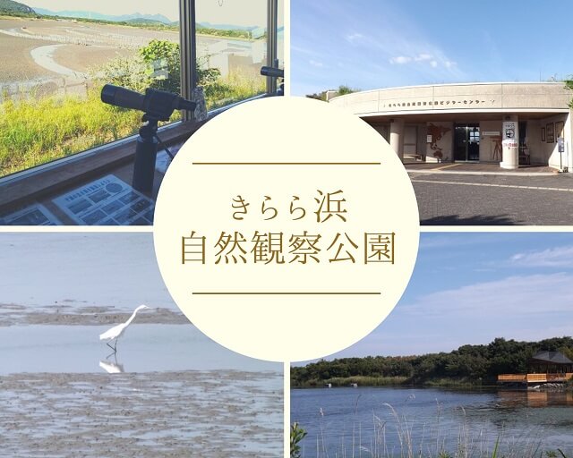 きらら浜自然観察公園【山口市】野鳥観察に工作やイベントも!子どもも大人も楽しめるスポット