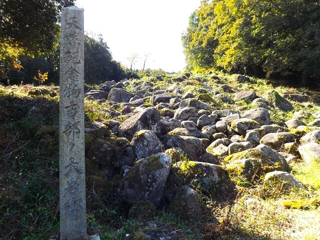 【吉部の大岩郷】国指定の天然記念物・アクセスや駐車場は?岩がゴロゴロ!!