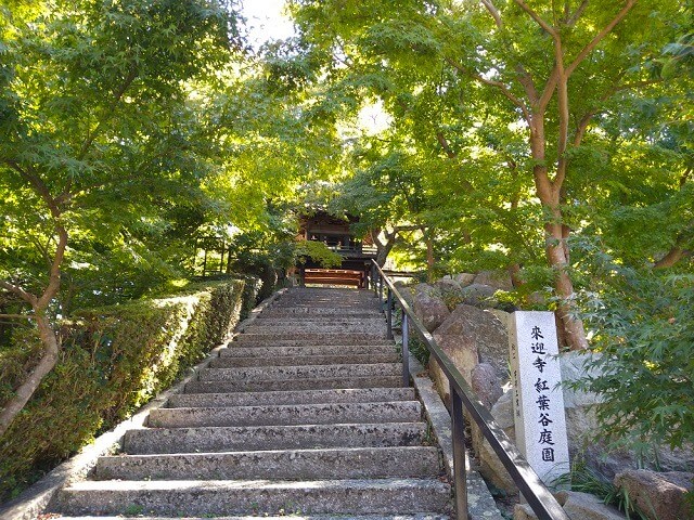 来迎寺【宇部市】駐車場やアクセス、境内の様子をご紹介･隠れた紅葉名所