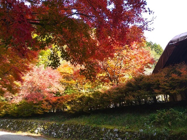 重源の郷(山口市徳地)の紅葉を見に行ってきた!!懐かしい昭和初期の風景と紅葉に癒される