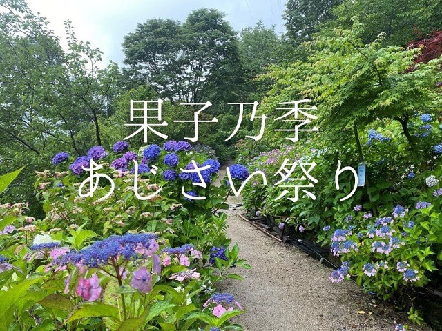 【果子乃季あじさい祭2023】日程やイベント内容、シャトルバスなどを紹介