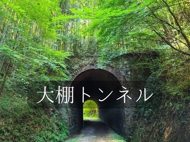 大棚トンネル【宇部市】行ってきた!!場所や駐車場は?ジブリの世界のような景色に感動